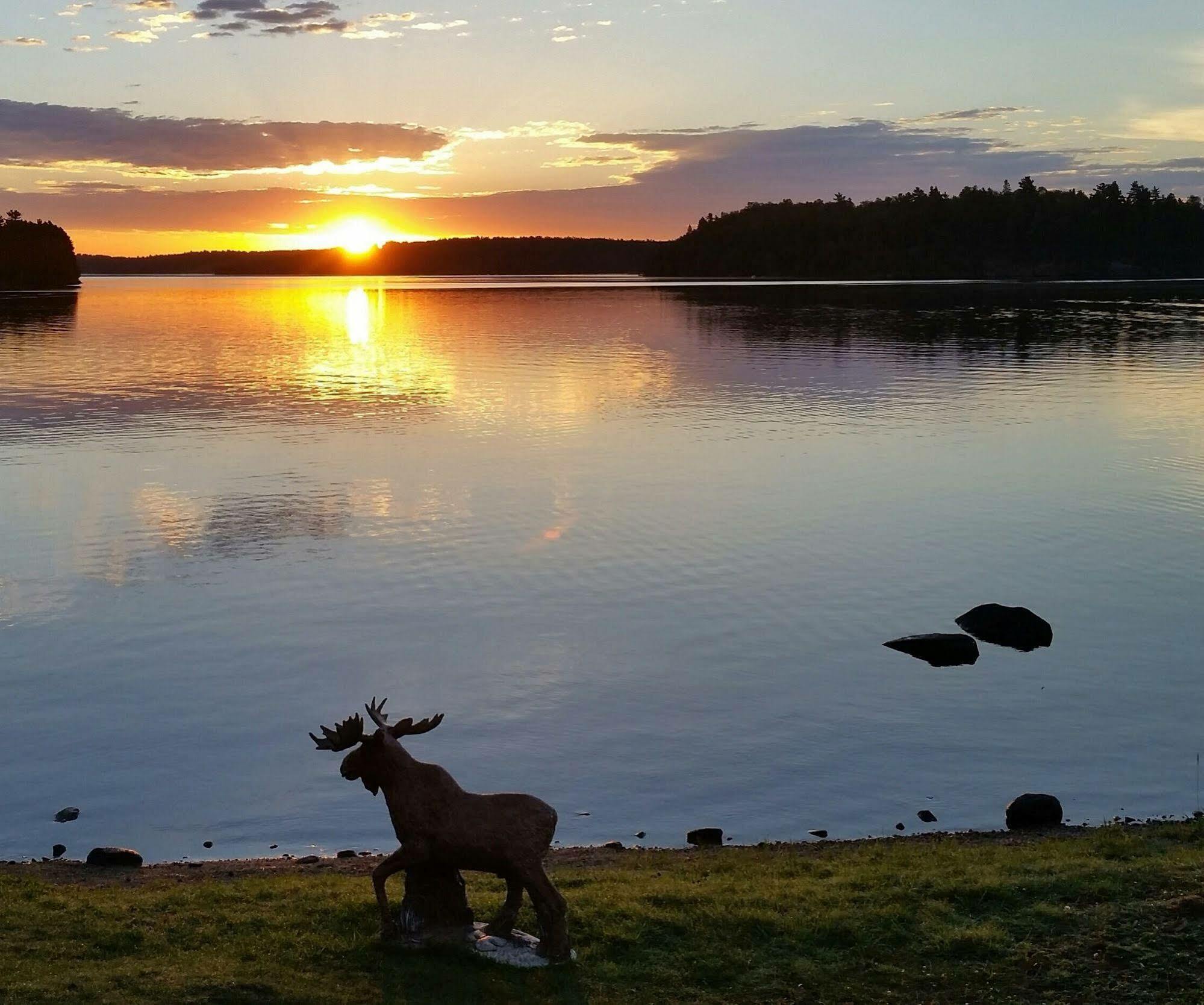 Pine Point Lodge Resort & Motel Crane Lake Esterno foto